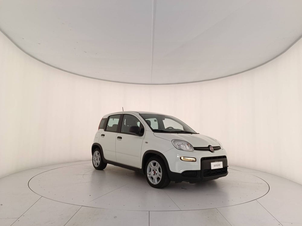 Fiat Panda Cross usata a Treviso (3)