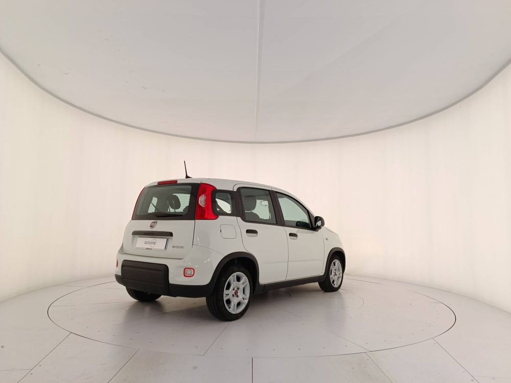 Fiat Panda Cross usata a Treviso (6)