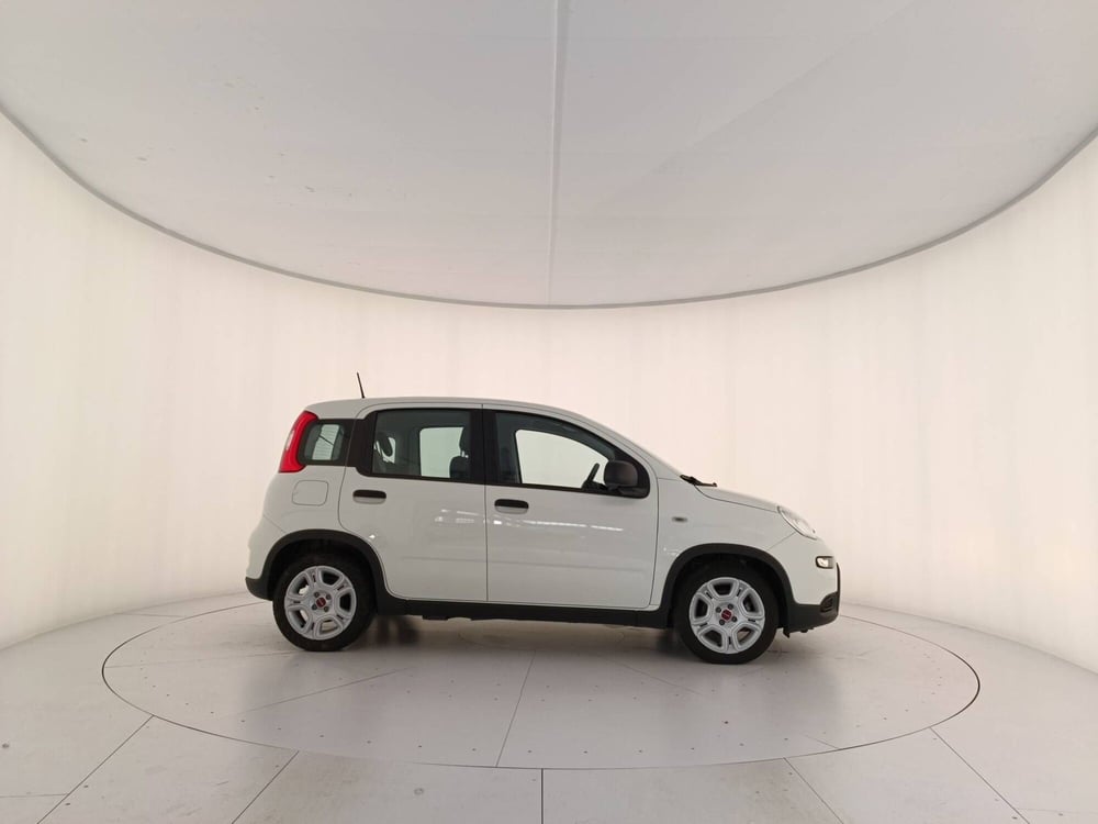 Fiat Panda Cross usata a Treviso (7)