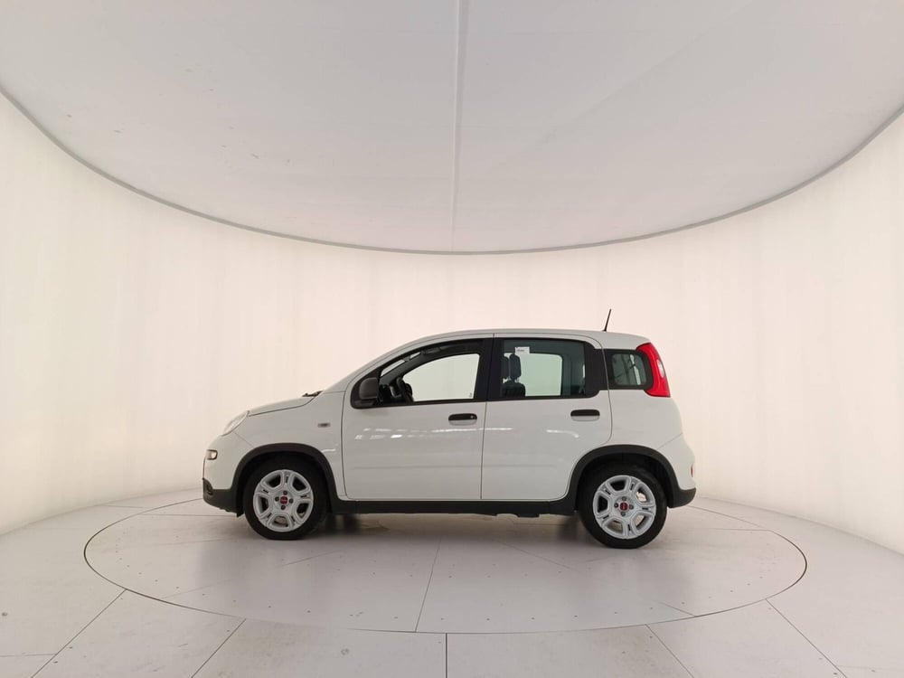 Fiat Panda Cross usata a Treviso (8)