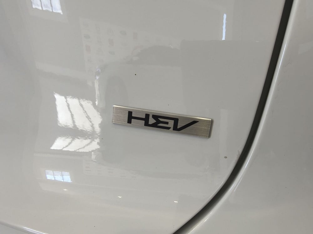 Kia Niro usata a Vercelli (12)