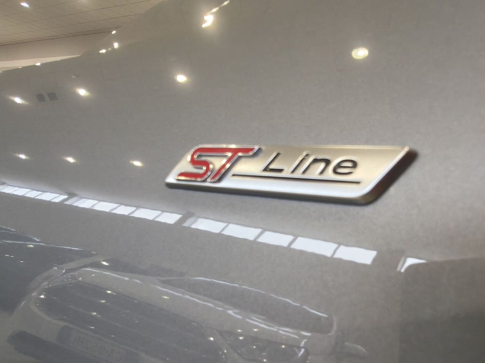Ford Kuga usata a Vercelli (19)