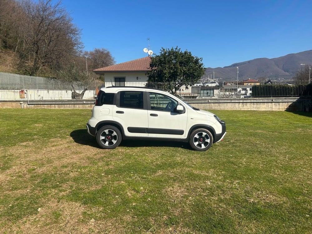 Fiat Panda Cross usata a Salerno (11)