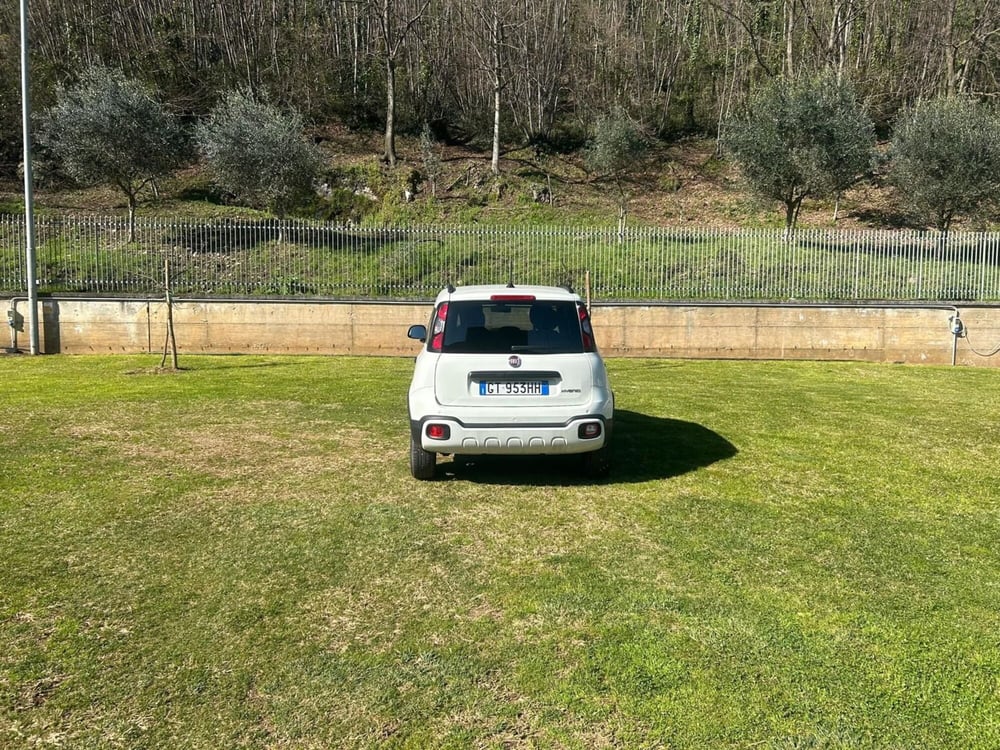 Fiat Panda Cross usata a Salerno (12)
