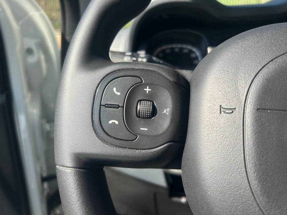 Fiat Panda Cross usata a Salerno (16)