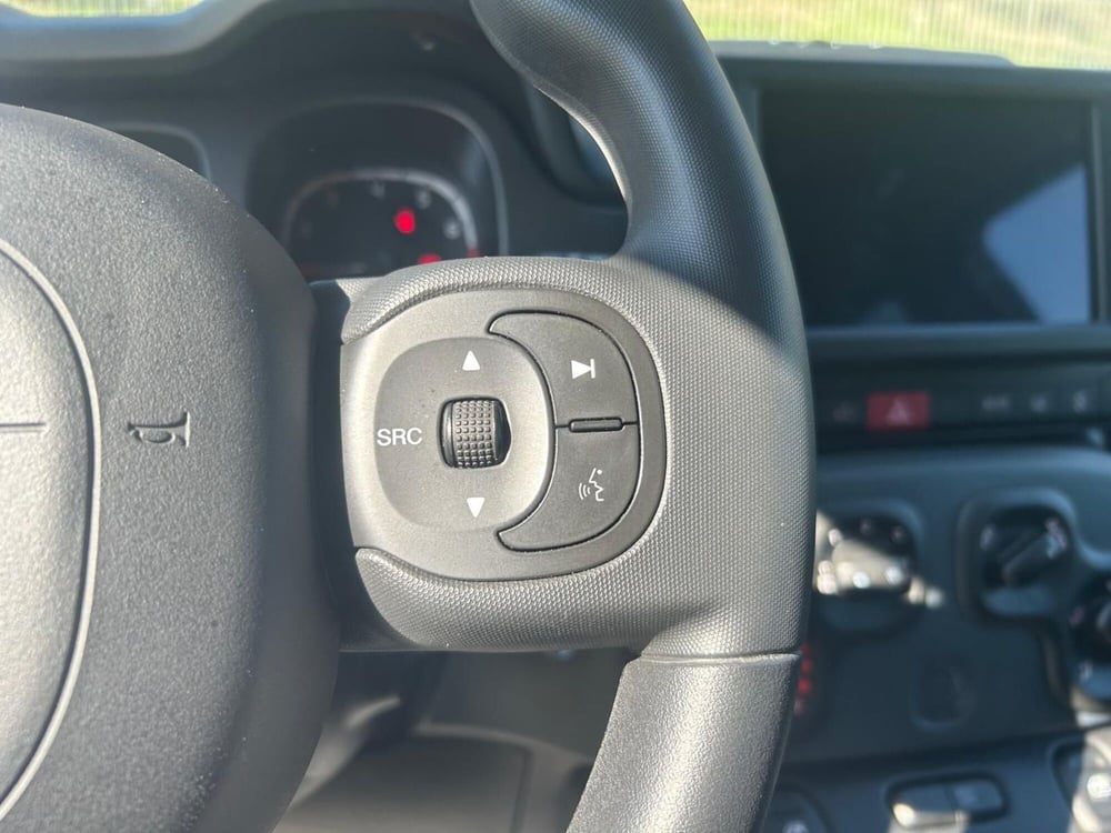 Fiat Panda Cross usata a Salerno (17)