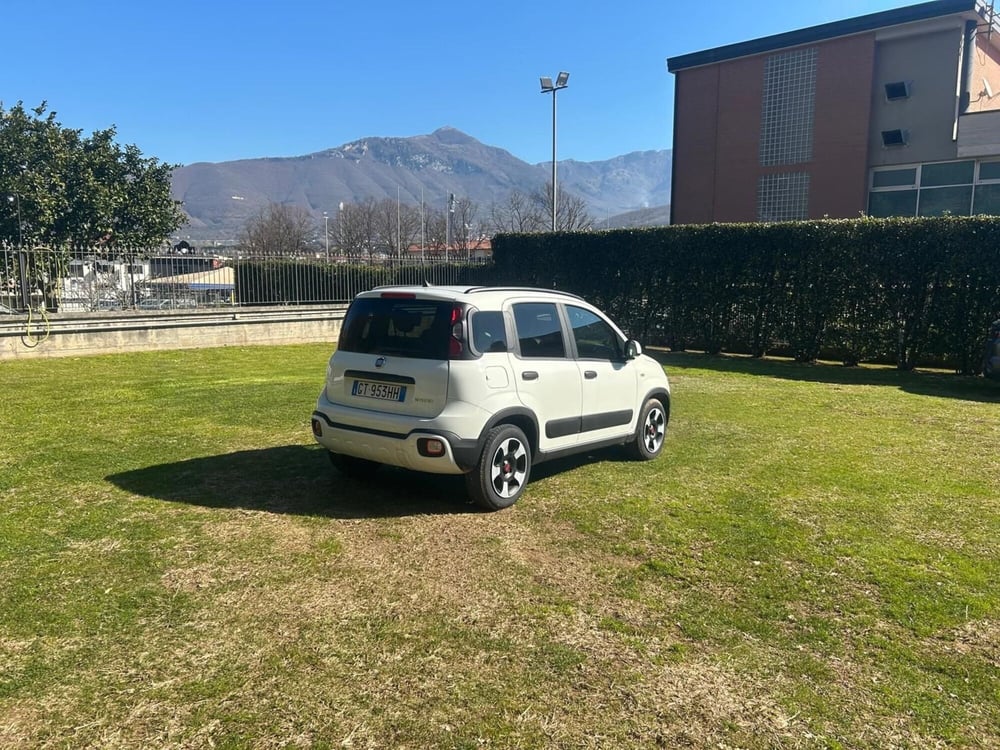 Fiat Panda Cross usata a Salerno (3)