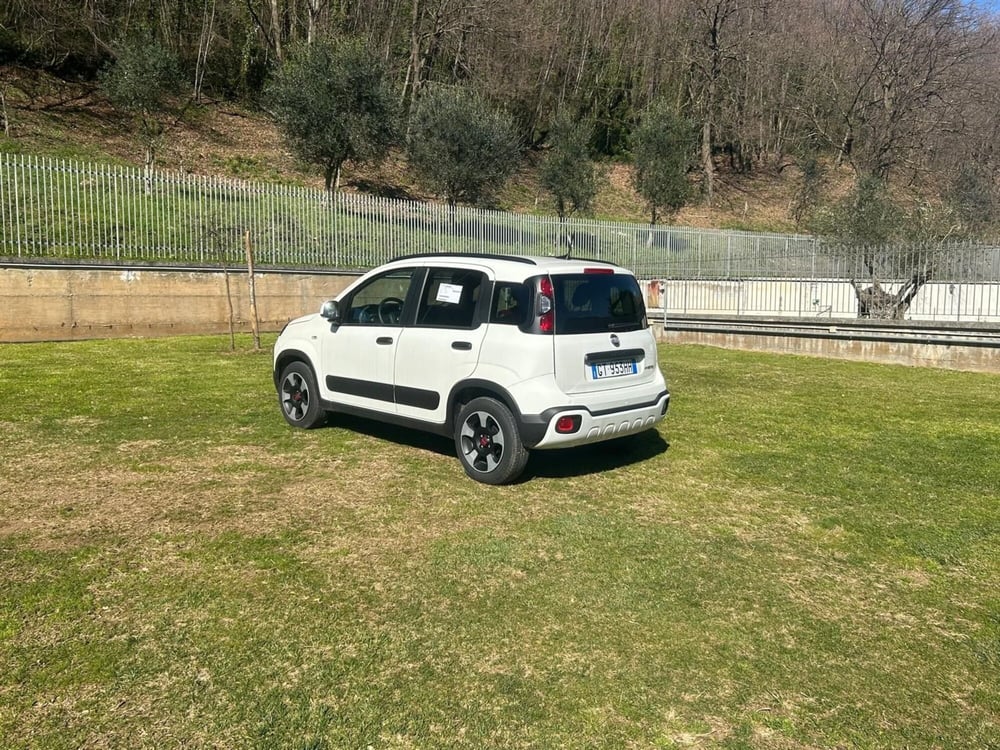 Fiat Panda Cross usata a Salerno (4)