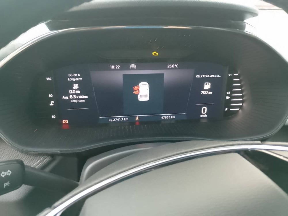 Skoda Fabia usata a Salerno (8)
