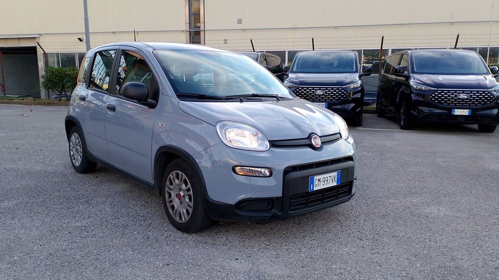 Fiat Panda usata a Salerno (2)