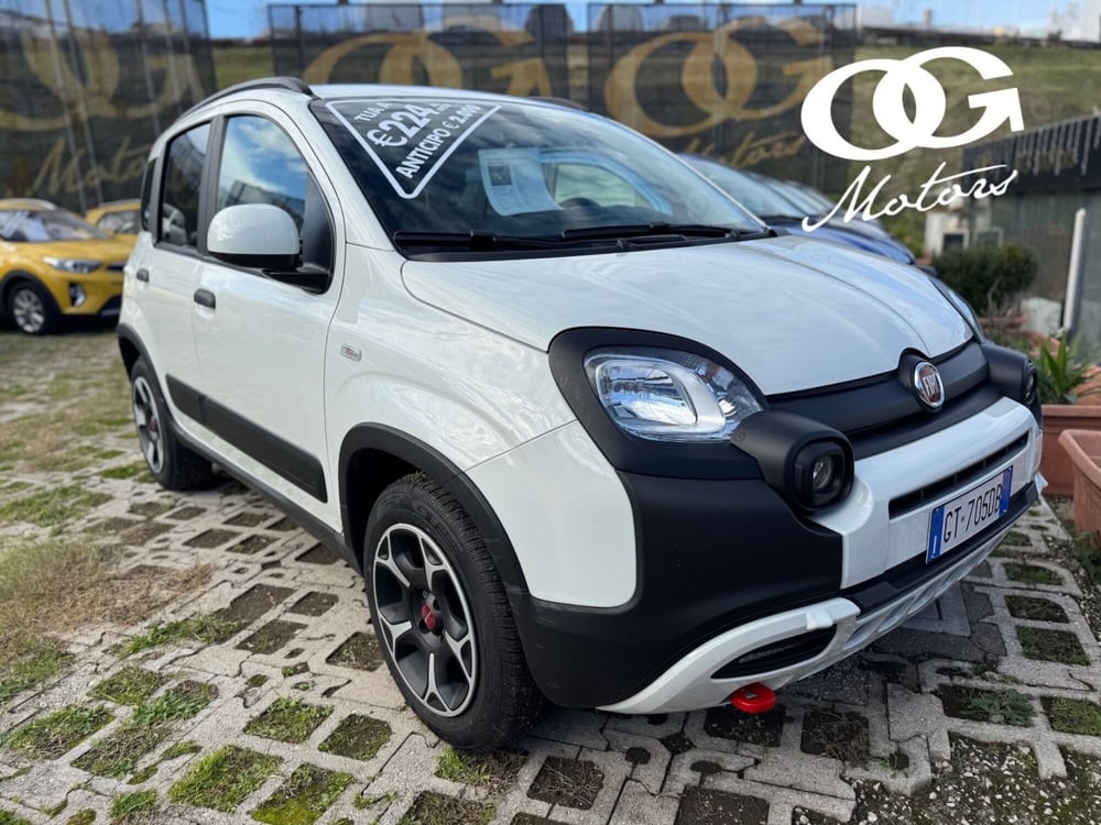 Fiat Panda Cross usata a Salerno (2)