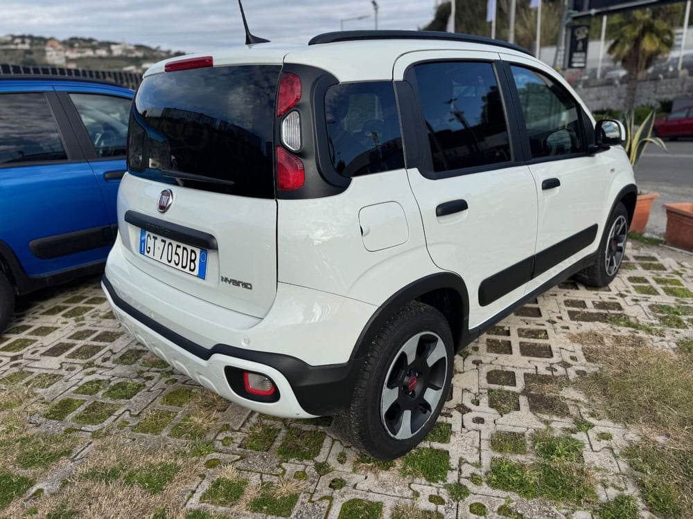 Fiat Panda Cross usata a Salerno (3)