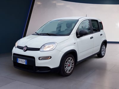 Fiat Panda van 1.0 hybrid Pop 70cv 2p.ti serie 4 E6d del 2023 usata a Fisciano