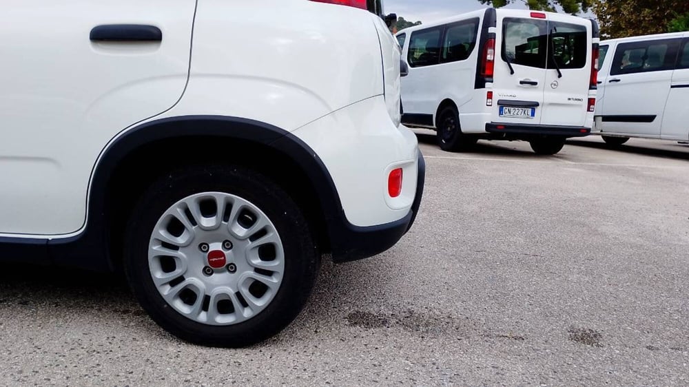 Fiat Panda usata a Salerno (14)