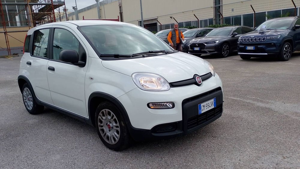 Fiat Panda usata a Salerno (2)