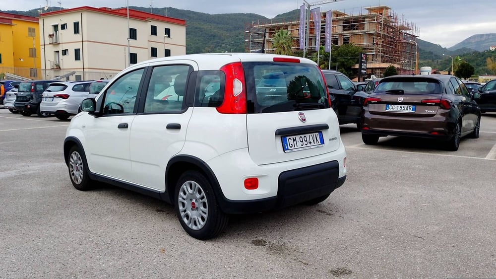 Fiat Panda usata a Salerno (4)