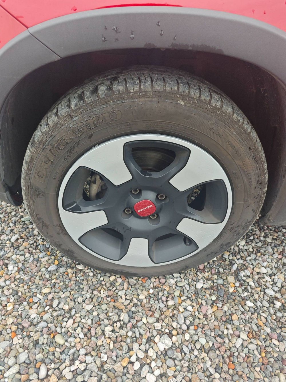 Fiat Panda usata a Salerno (13)