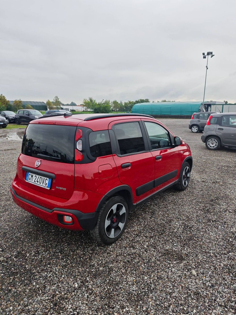 Fiat Panda usata a Salerno (3)