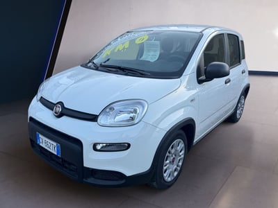 Fiat Panda Cross Cross 1.0 FireFly S&amp;S Hybrid del 2024 usata a Fisciano