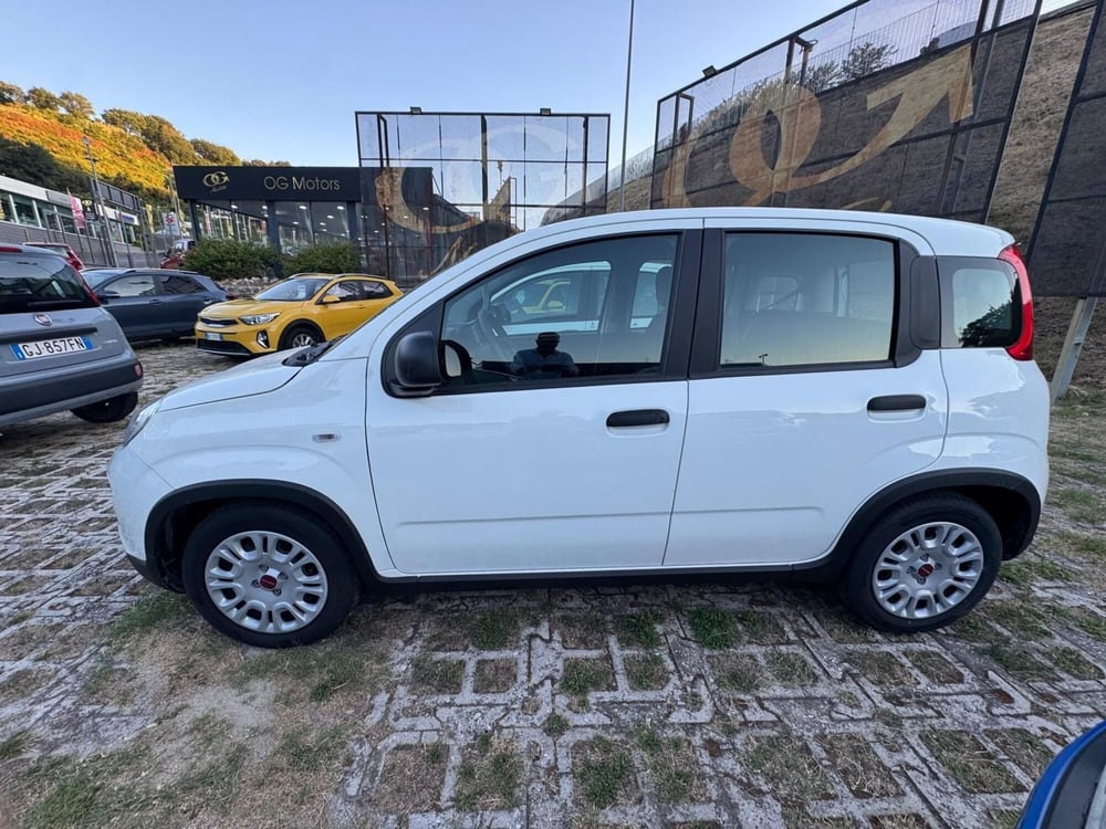 Fiat Panda Cross usata a Salerno (10)