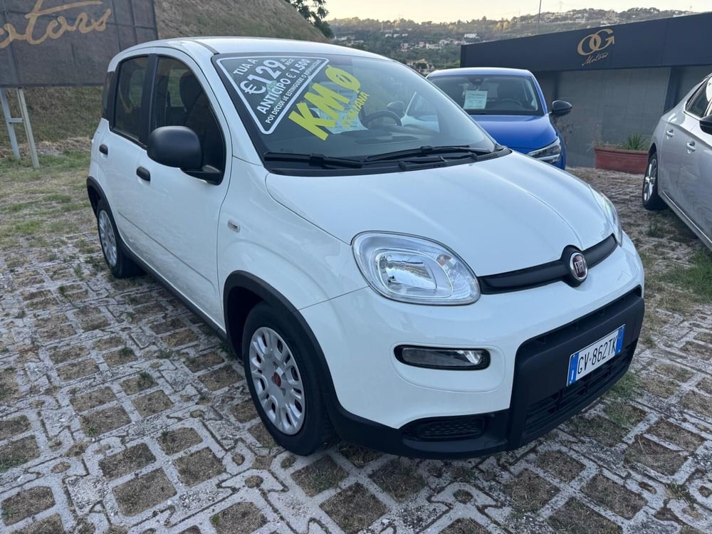 Fiat Panda Cross usata a Salerno (2)