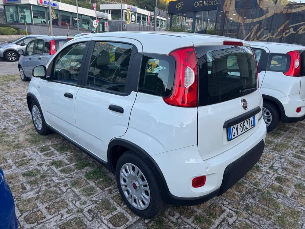 Fiat Panda Cross usata a Salerno (3)