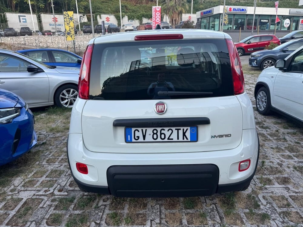 Fiat Panda Cross usata a Salerno (4)