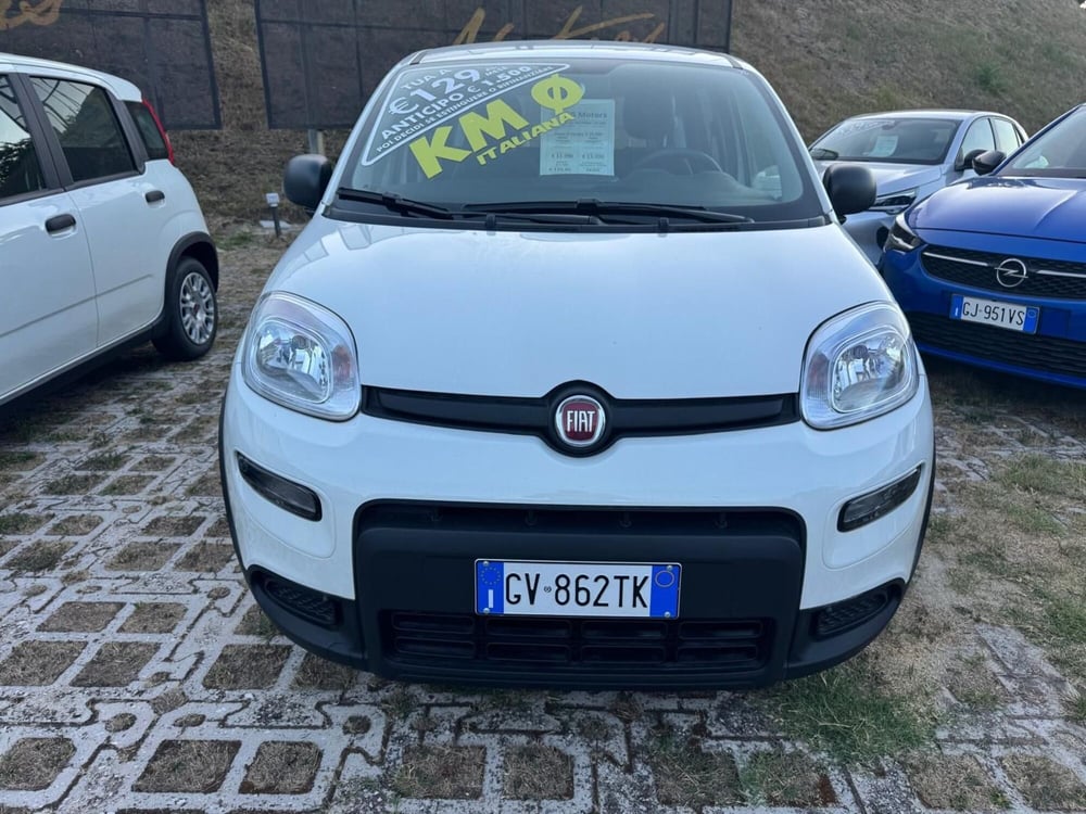 Fiat Panda Cross usata a Salerno (9)