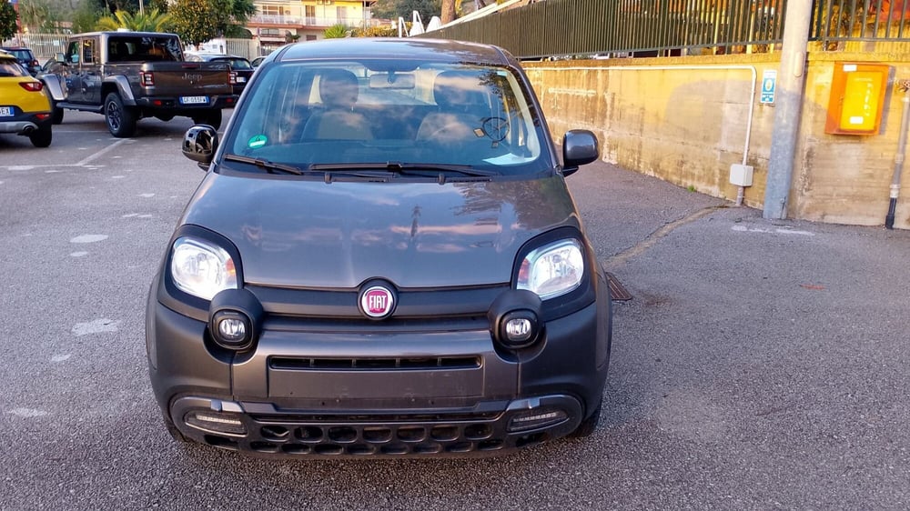 Fiat Panda usata a Salerno (9)