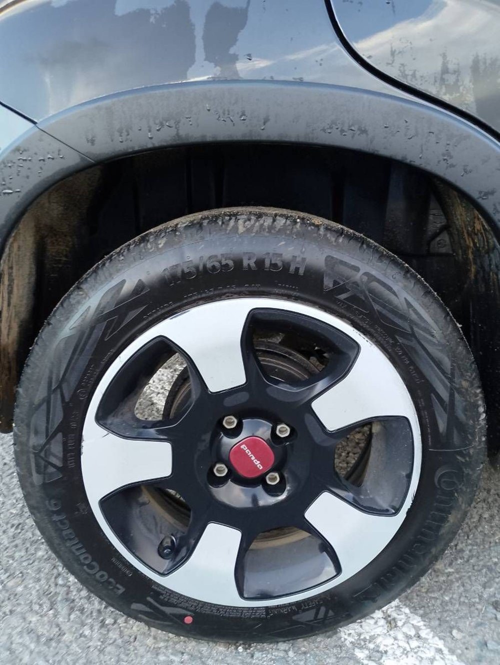 Fiat Panda usata a Salerno (13)