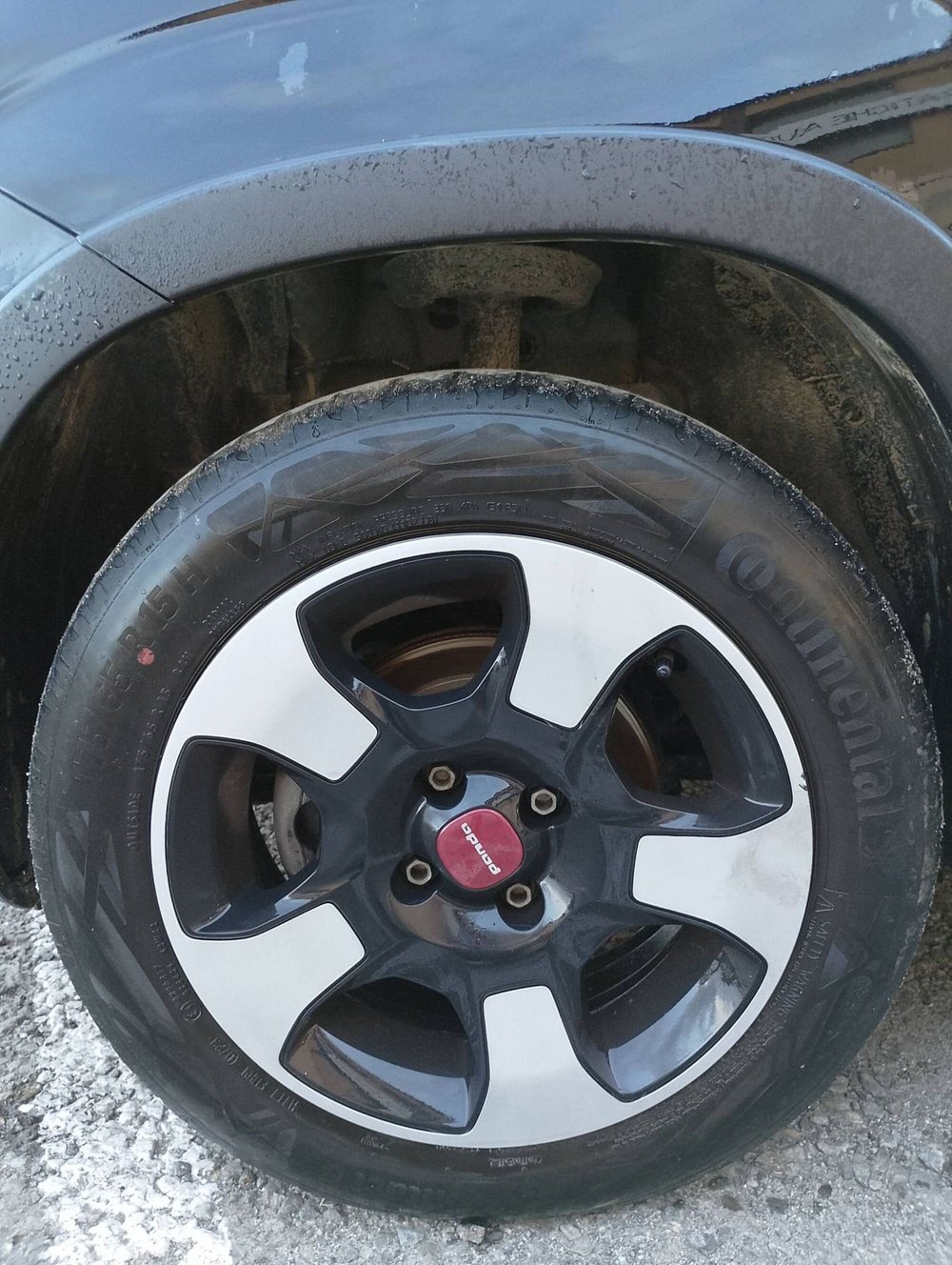 Fiat Panda usata a Salerno (14)