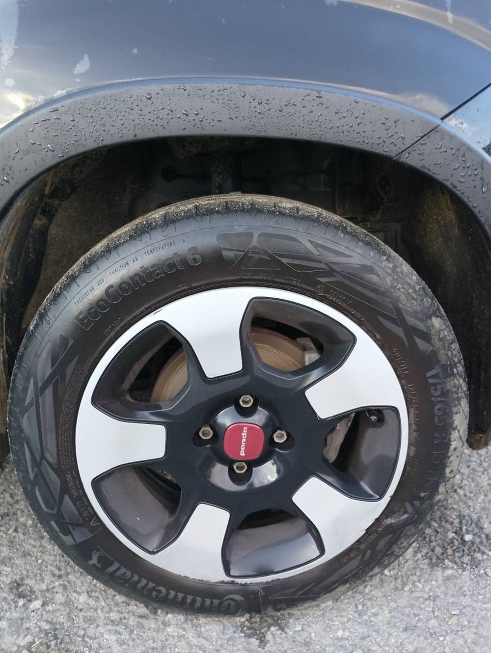 Fiat Panda usata a Salerno (15)