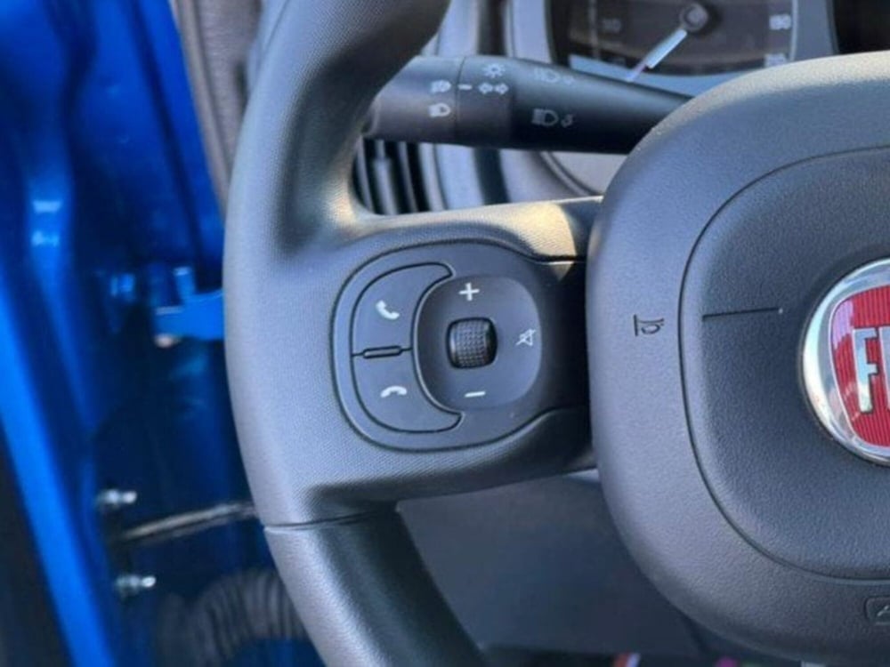 Fiat Panda Cross usata a Salerno (14)