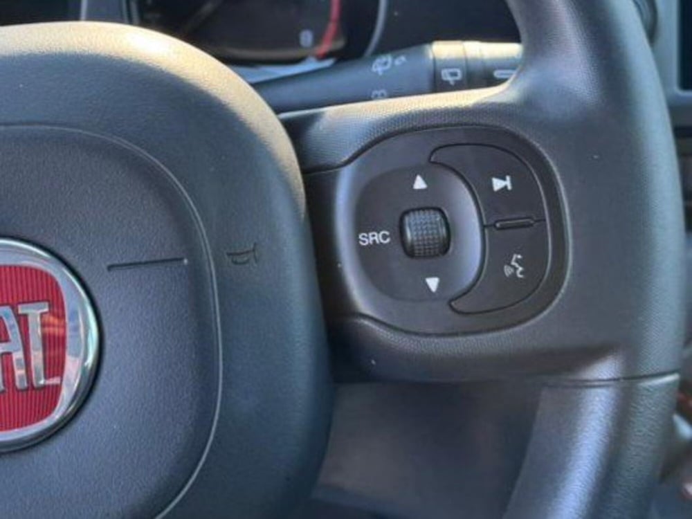 Fiat Panda Cross usata a Salerno (15)