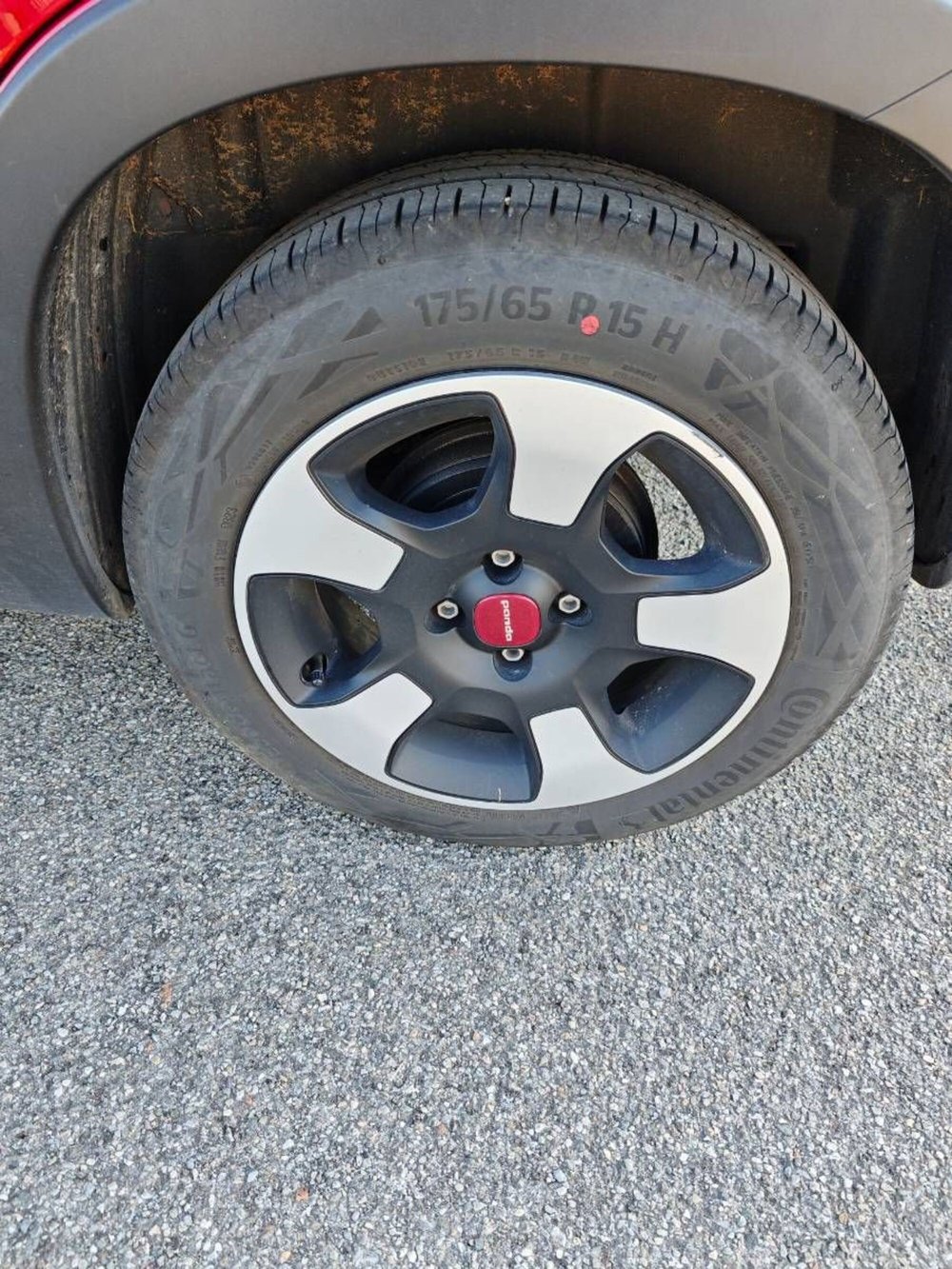 Fiat Panda Cross usata a Salerno (12)