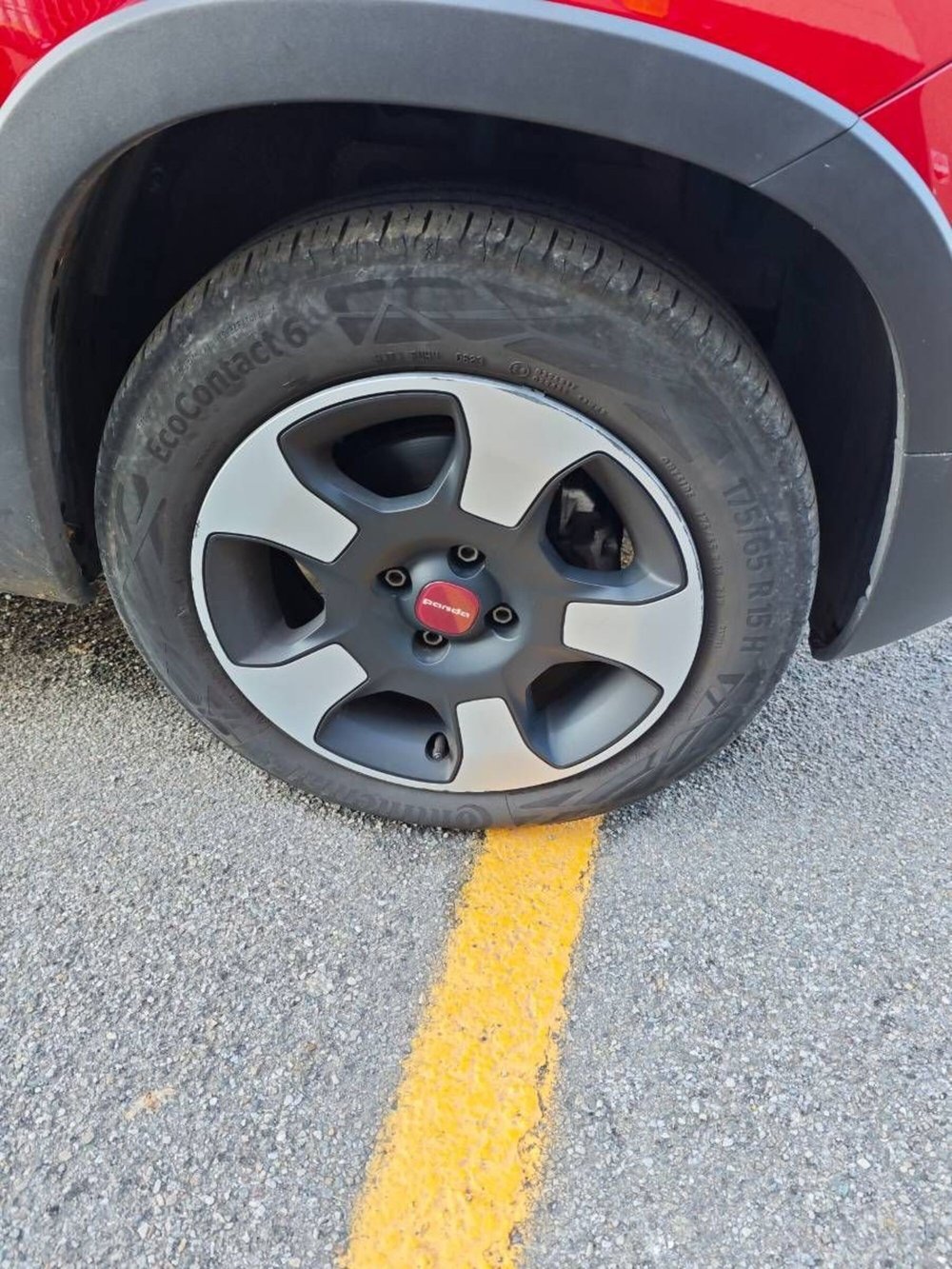 Fiat Panda Cross usata a Salerno (15)