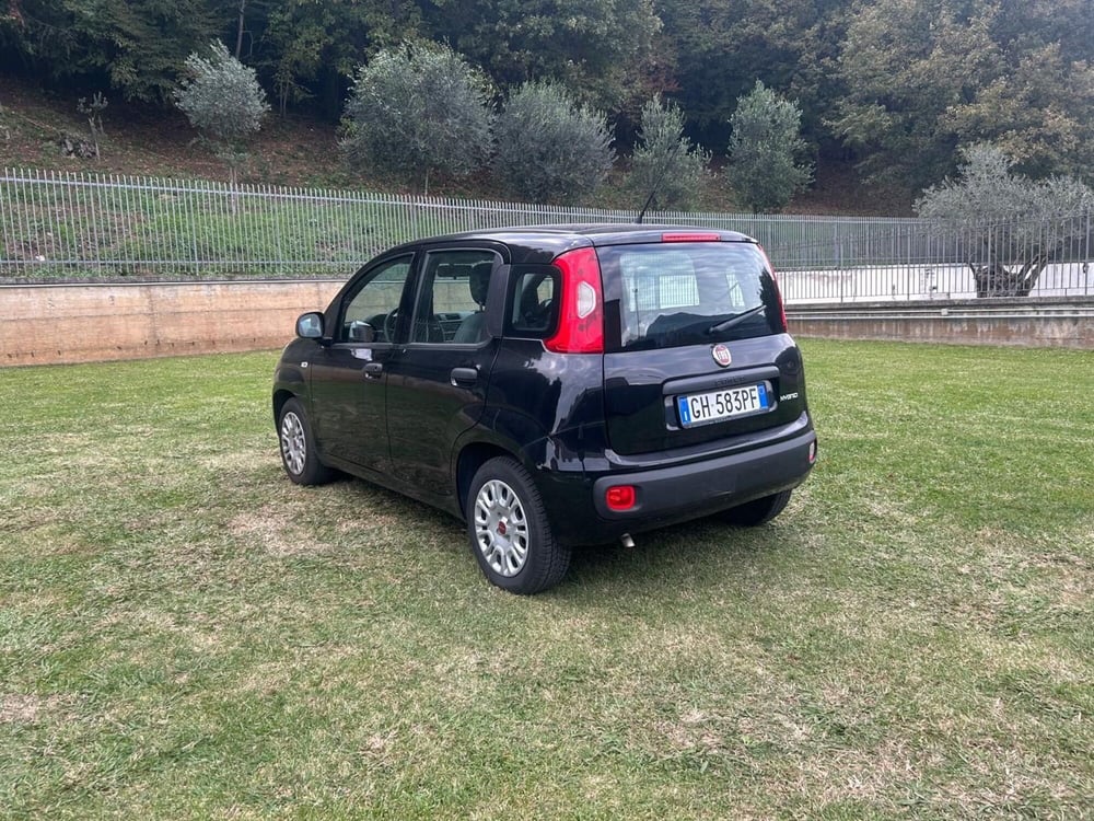 Fiat Panda usata a Salerno (4)