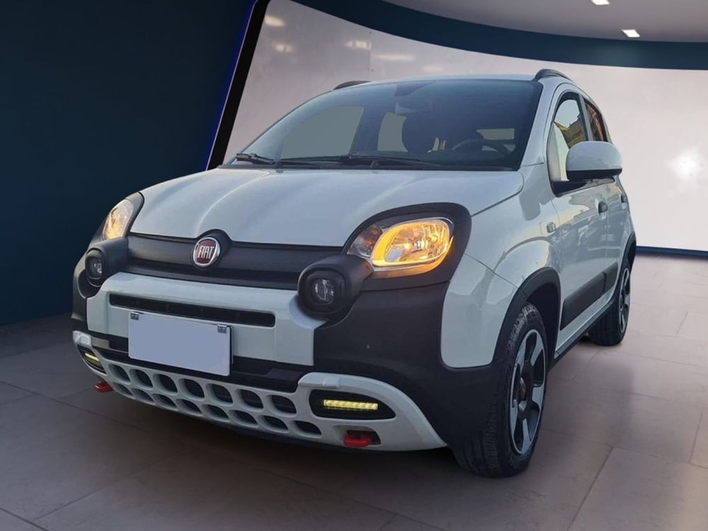 Fiat Panda Cross usata a Salerno