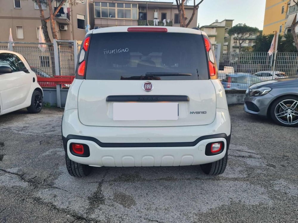 Fiat Panda Cross usata a Salerno (11)