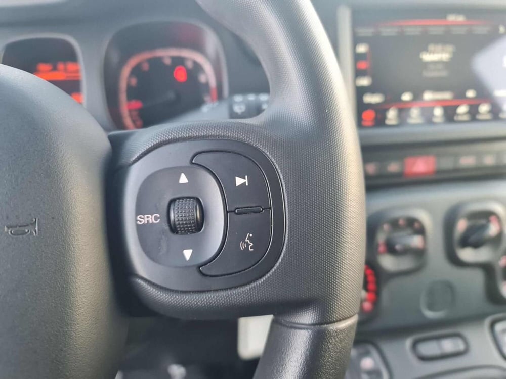 Fiat Panda Cross usata a Salerno (14)