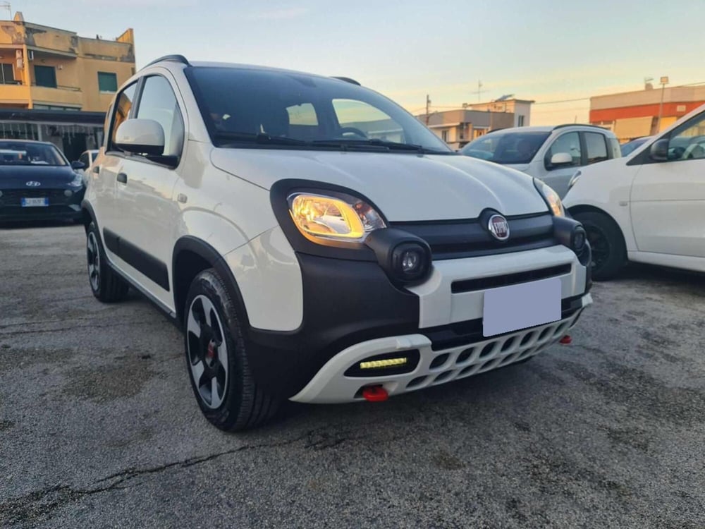 Fiat Panda Cross usata a Salerno (2)