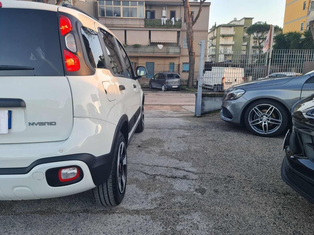 Fiat Panda Cross usata a Salerno (20)