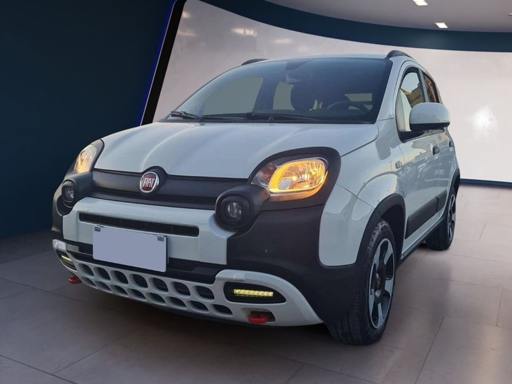 Fiat Panda Cross usata a Salerno