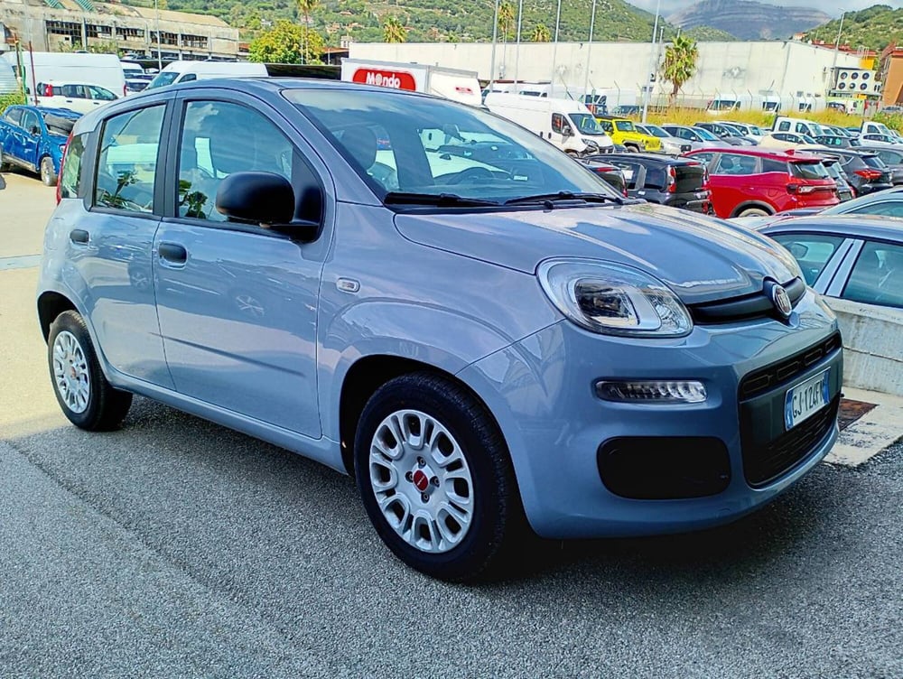 Fiat Panda usata a Salerno (2)