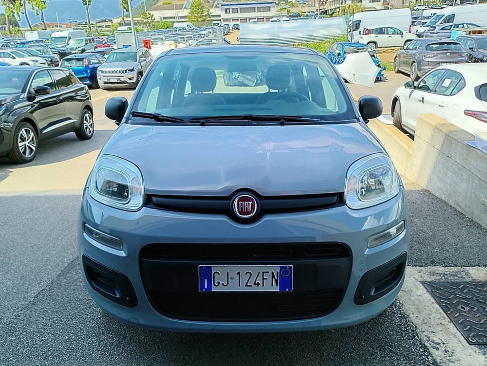 Fiat Panda usata a Salerno (9)