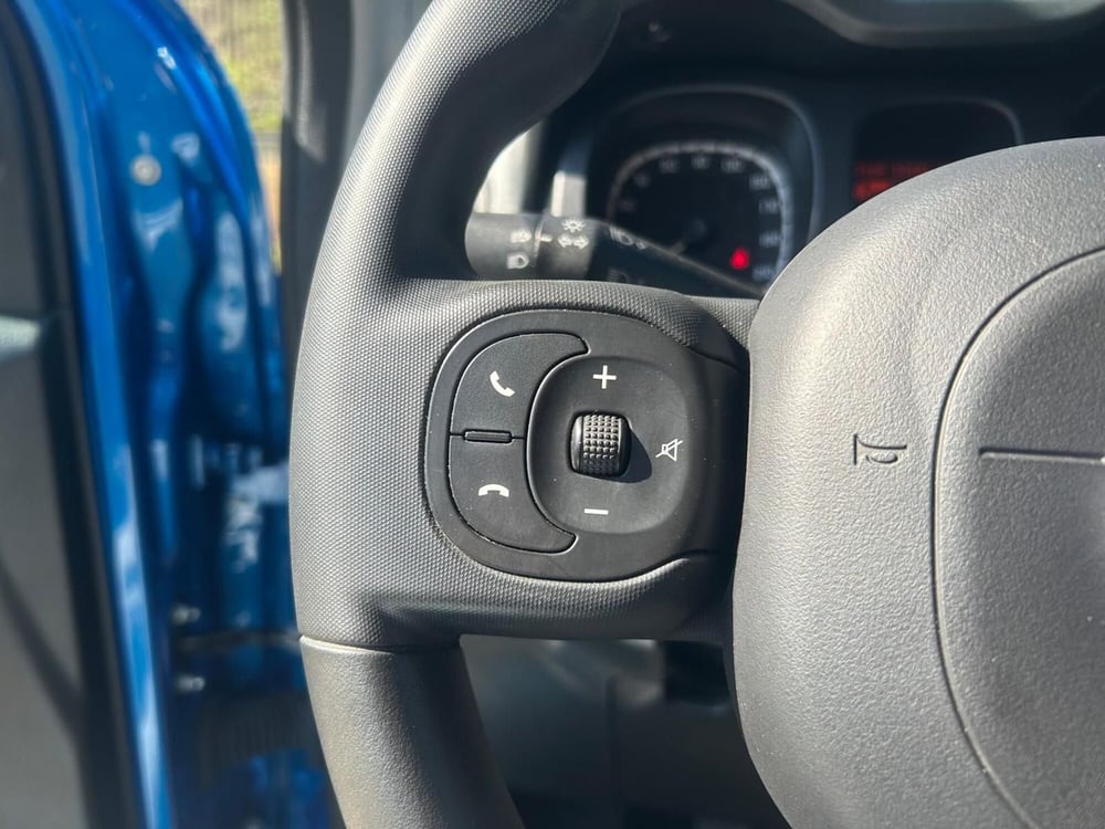Fiat Panda Cross usata a Salerno (16)