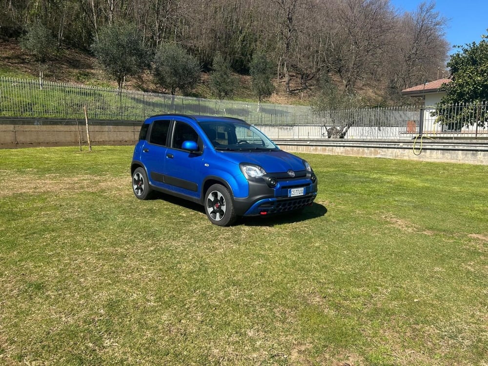 Fiat Panda Cross usata a Salerno (2)