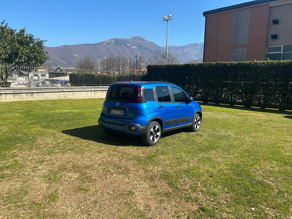 Fiat Panda Cross usata a Salerno (3)