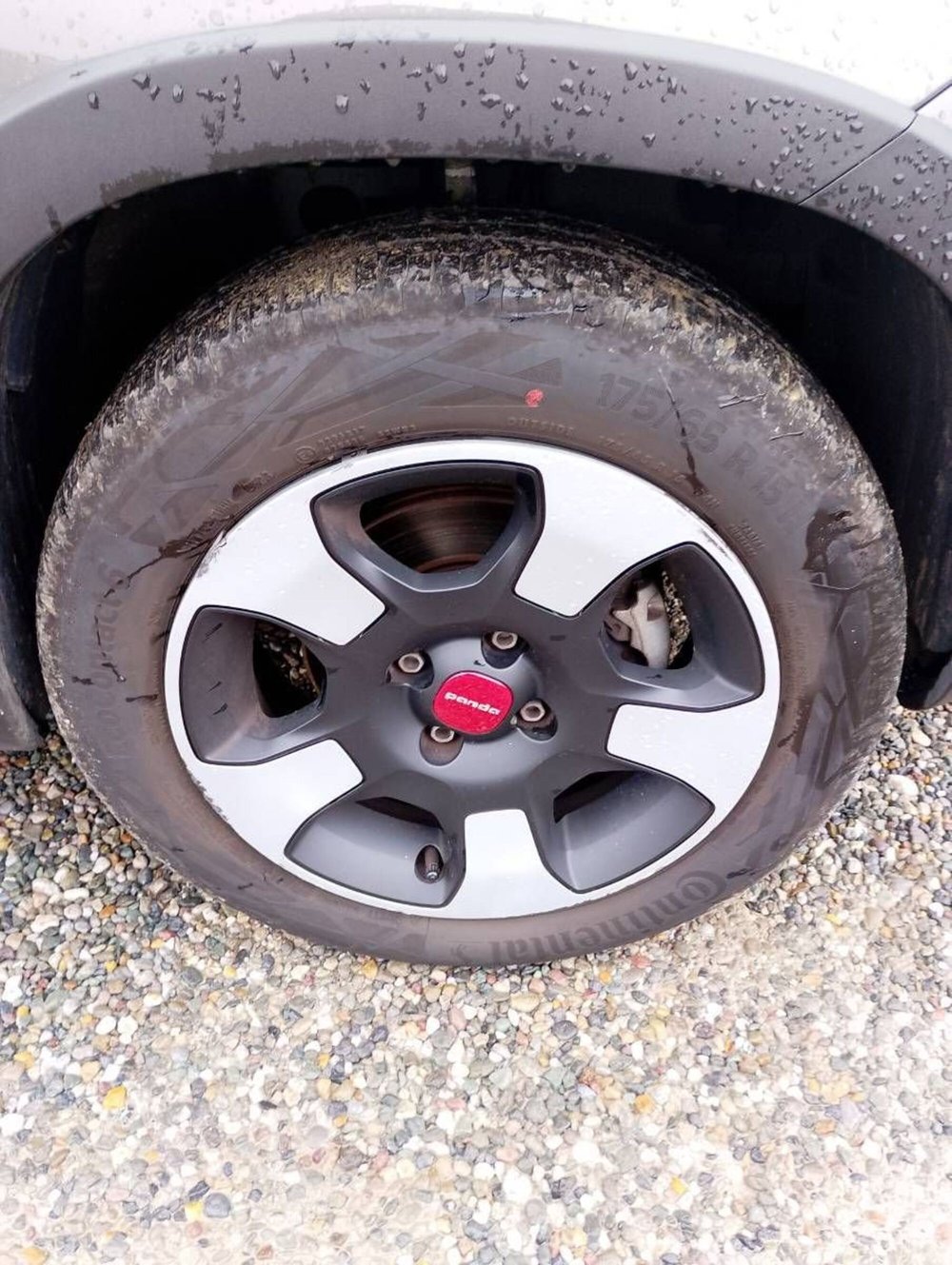 Fiat Panda usata a Salerno (12)