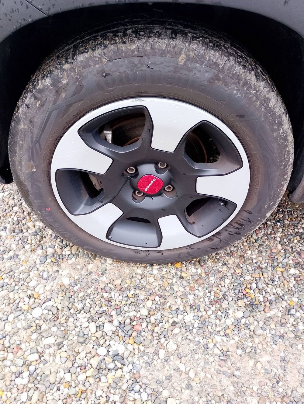 Fiat Panda usata a Salerno (13)